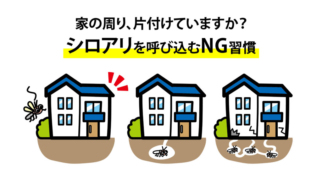 家の周り、片付けていますか？シロアリを呼び込むNG習慣