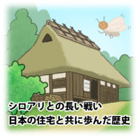 シロアリとの長い戦い：日本の住宅と共に歩んだ歴史