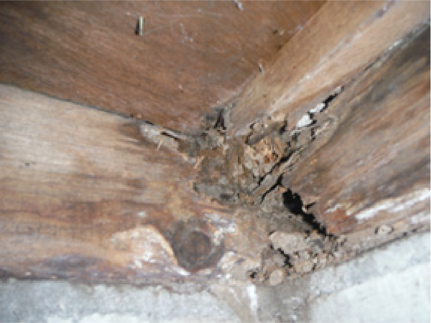 湿気・カビが原因での木腐れ
